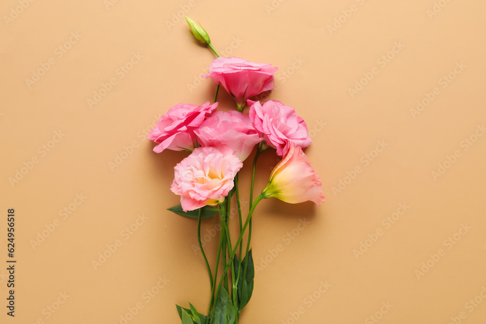 Beautiful pink eustoma flowers on brown background