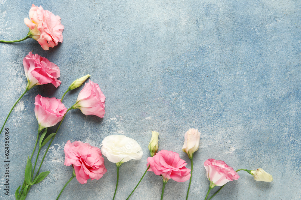 Beautiful pink eustoma flowers on blue background