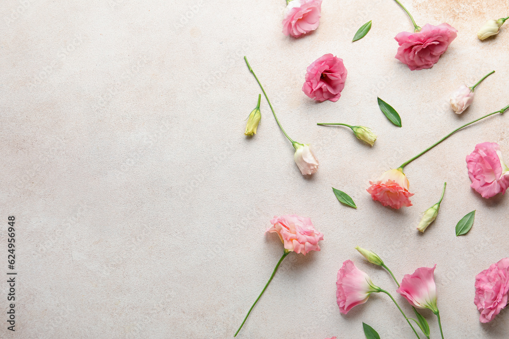 Beautiful pink eustoma flowers on white background