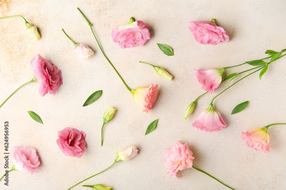 Beautiful pink eustoma flowers on white background