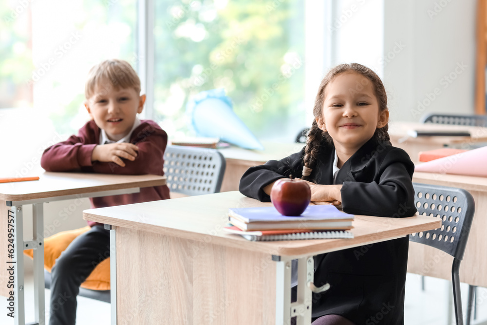 Happy classmates sitting at desks in classroom