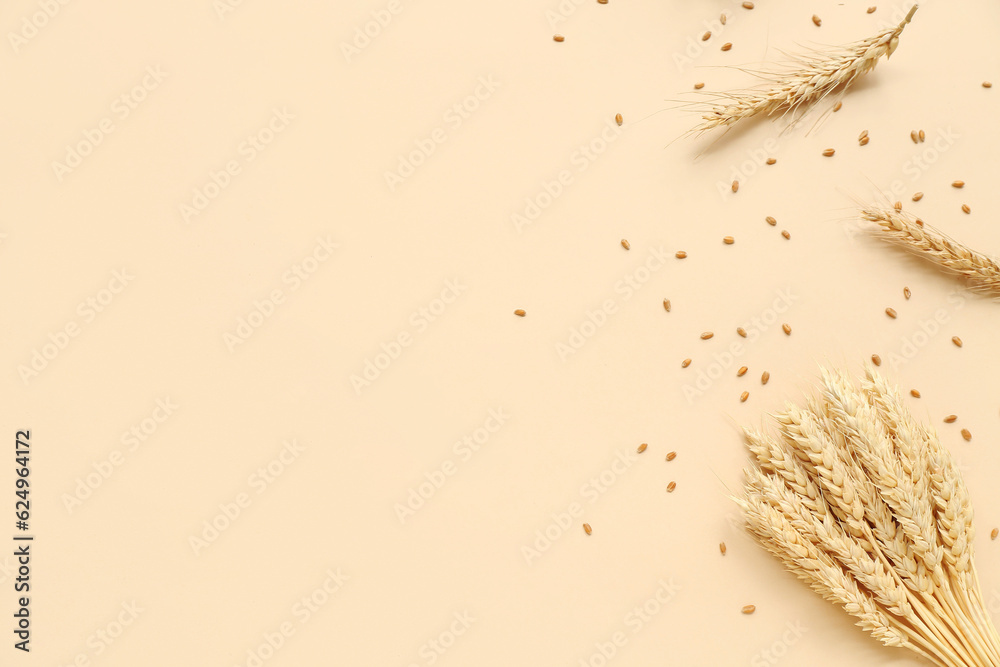 Wheat ears and grains on beige background