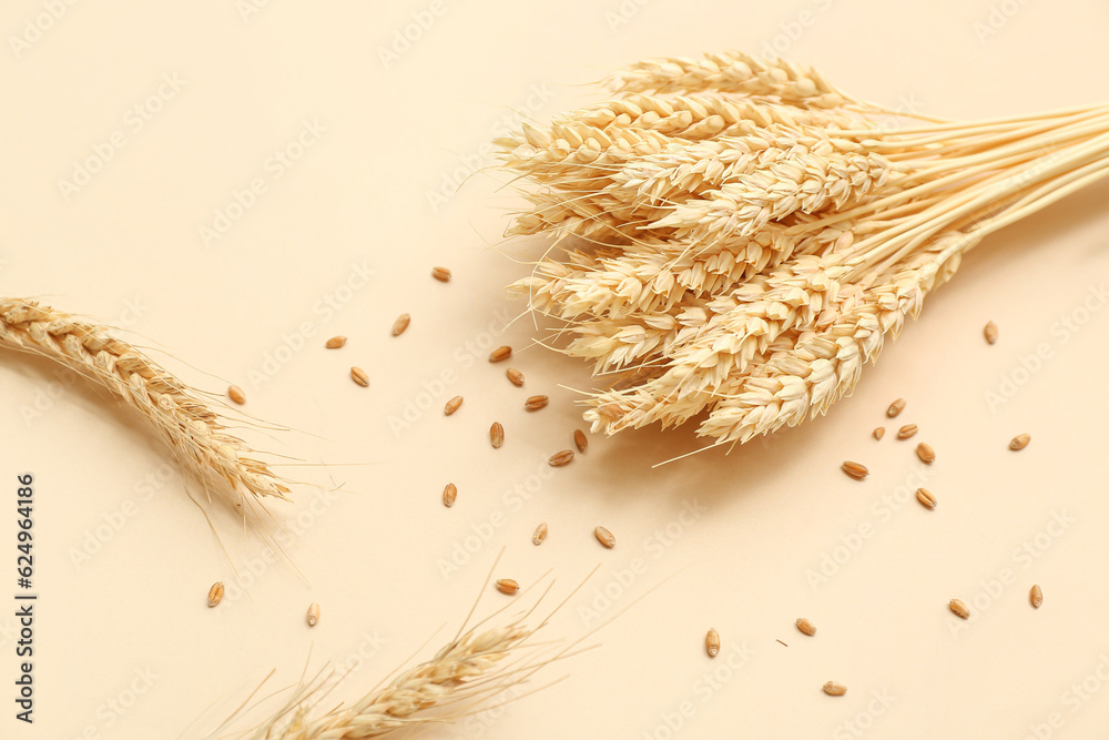 Bundle of wheat ears and grains on beige background