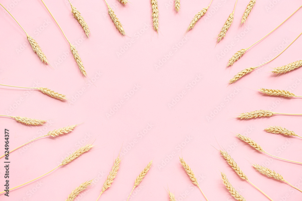 Frame made from wheat ears on pink background