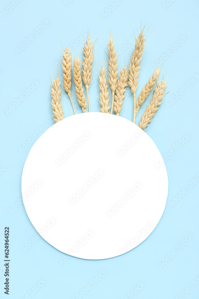 Blank card with wheat ears on blue background