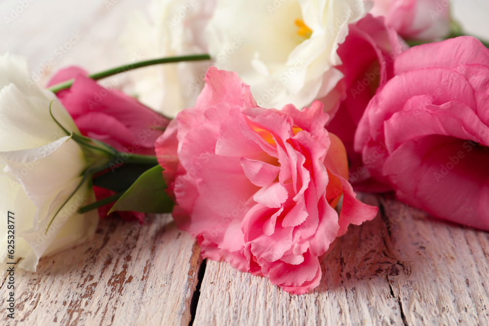 Beautiful pink eustoma flowers on white wooden background