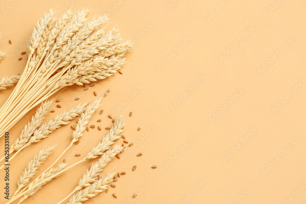 Wheat ears and grains on beige background