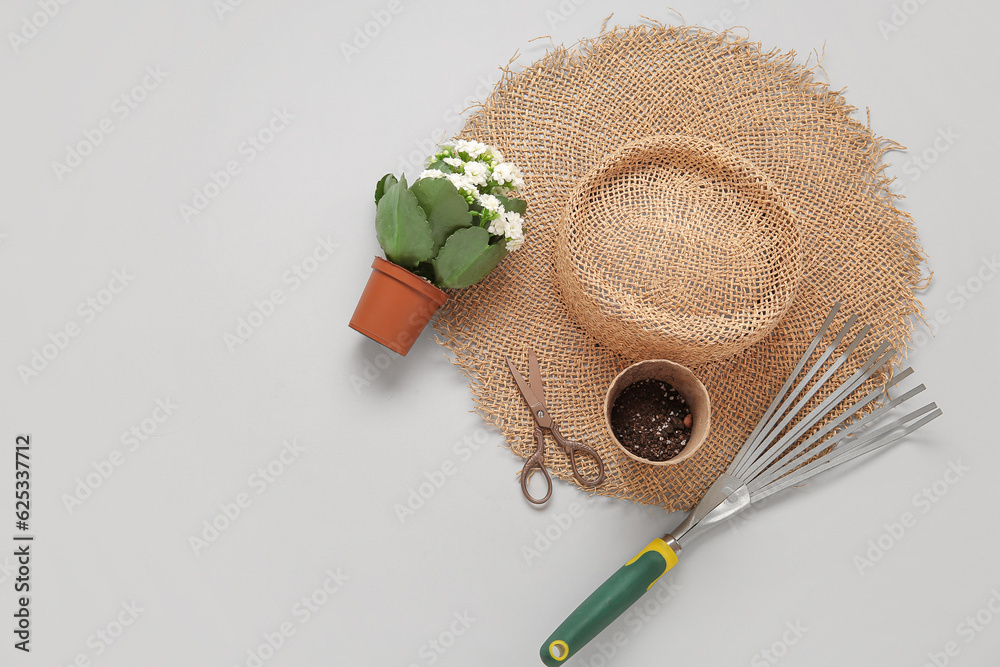 Straw hat, pots with plant, scissors and rake on grey background