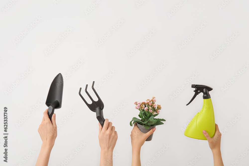 Women with plant and different gardening tools on light background