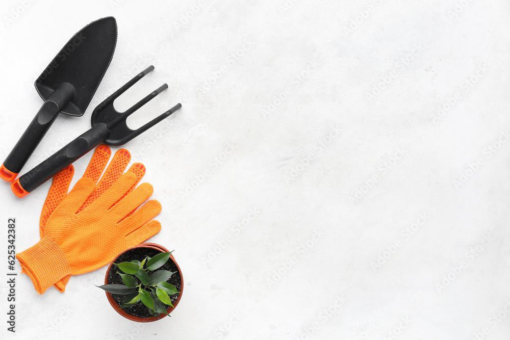 Gardening rake, shovel, gloves and houseplant on white background