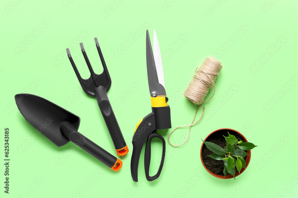 Gardening tools and plant on green background