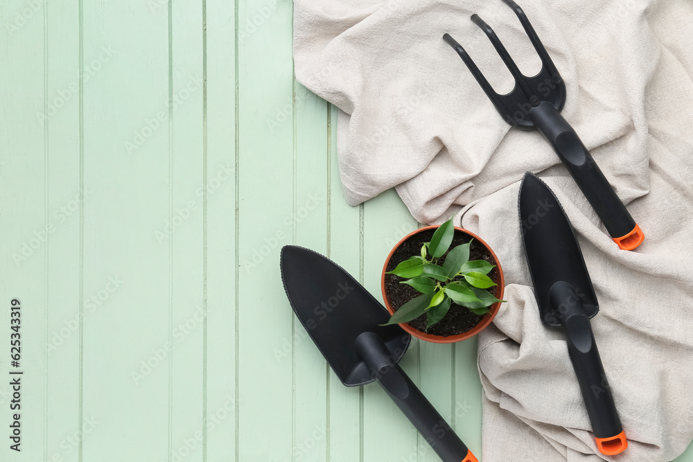 Gardening tools and plant on green wooden background