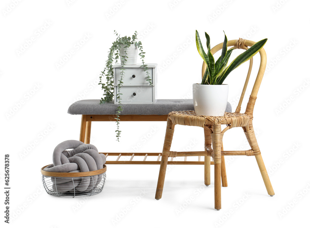 Soft bench with decor and chair on white background