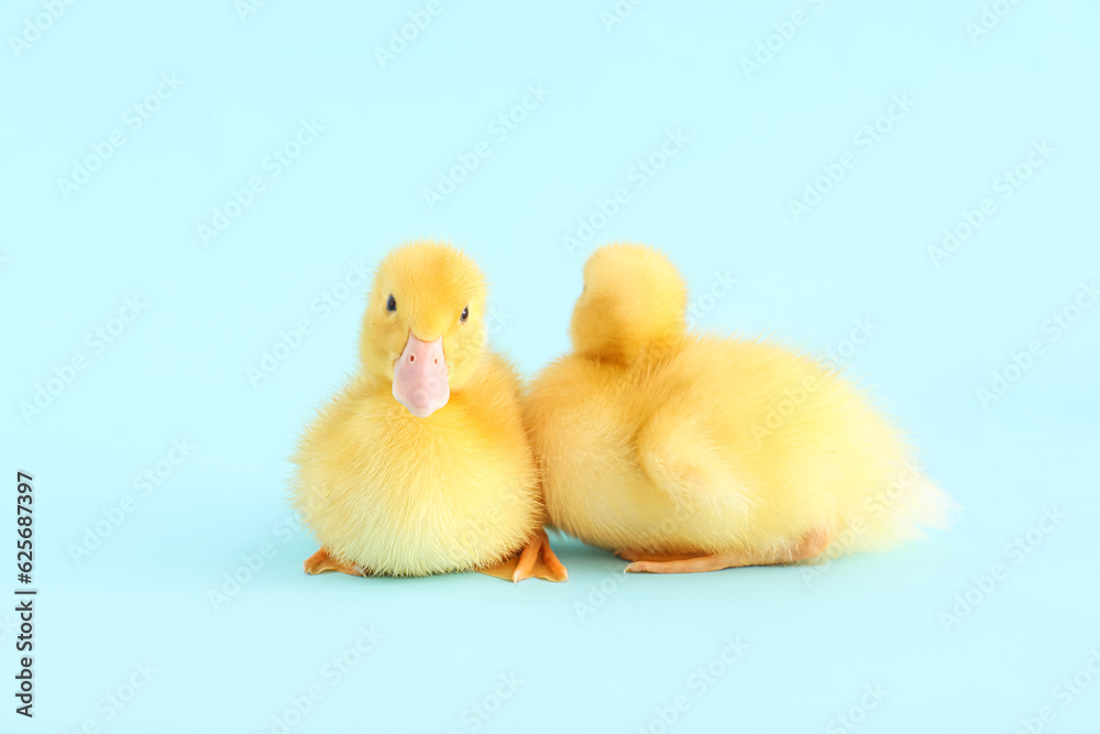 Cute ducklings on blue background