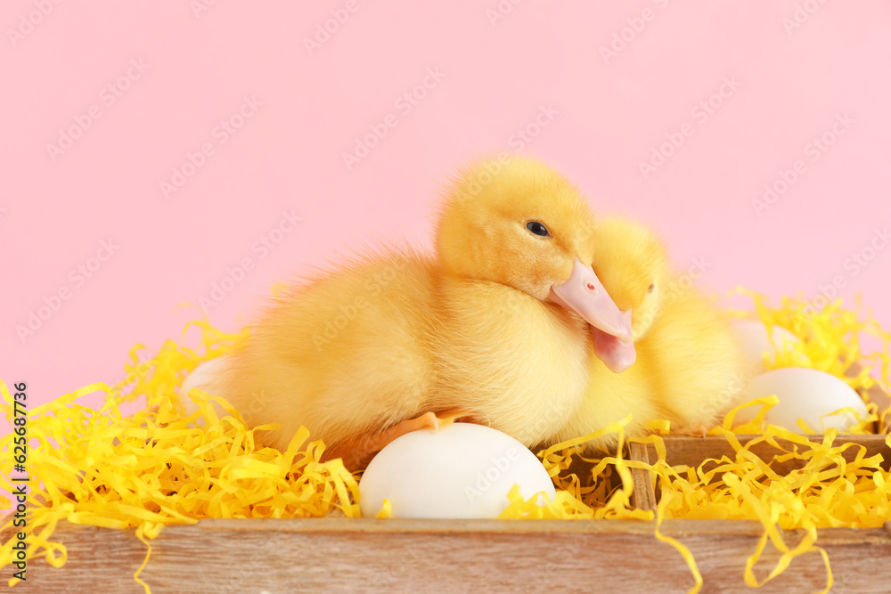 Wooden box with eggs and cute ducklings on pink background