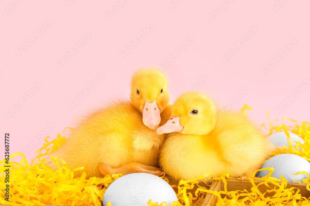 Wooden box with eggs and cute ducklings on pink background