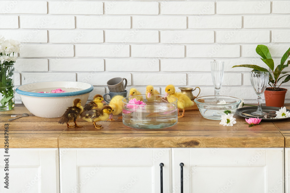 Bowls with water and cute ducklings in kitchen