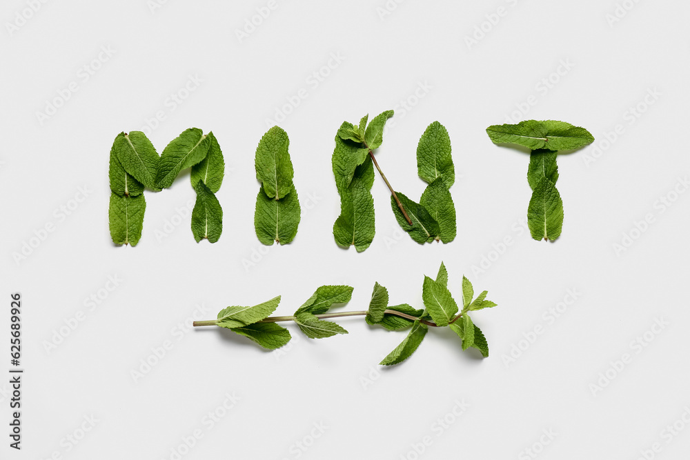 Word mint made of green leaves on white background