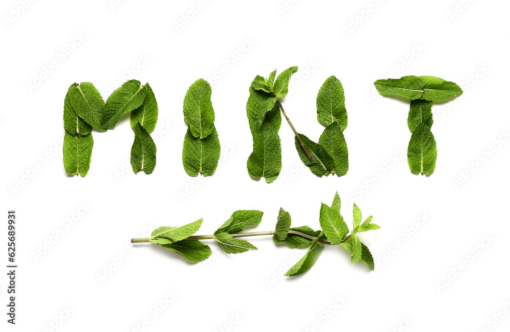 Word mint made of green leaves on white background