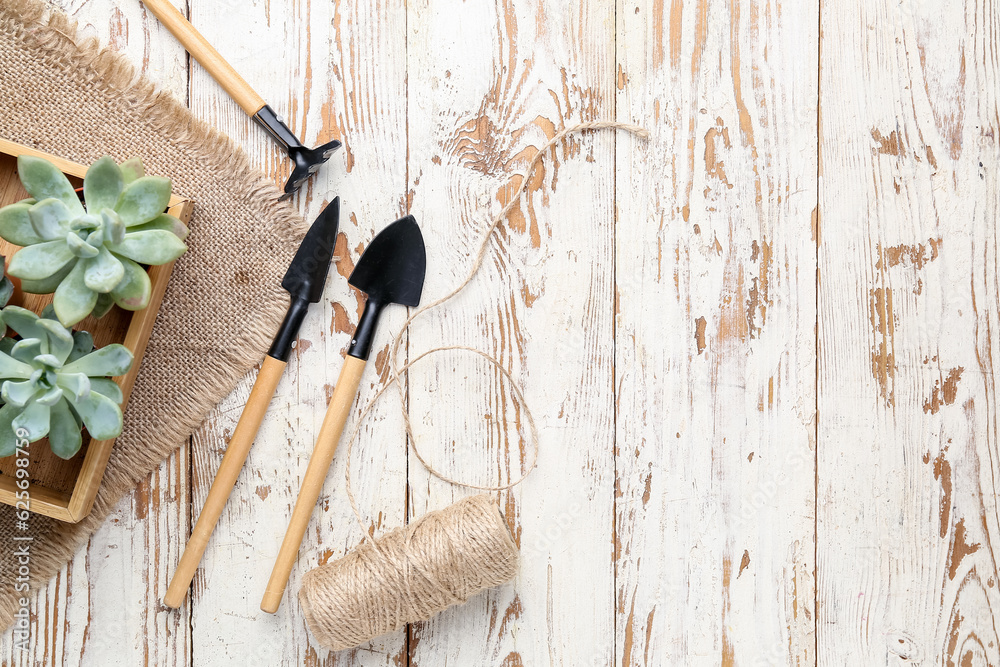 Gardening tools and succulent plants on white wooden background