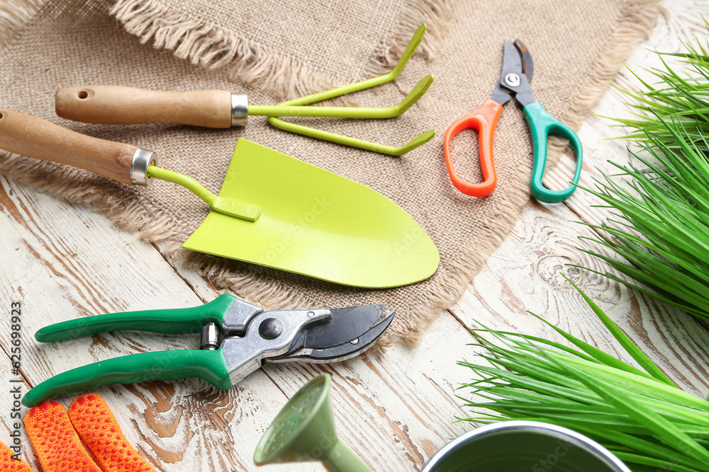 Gardening tools on white wooden background, closeup