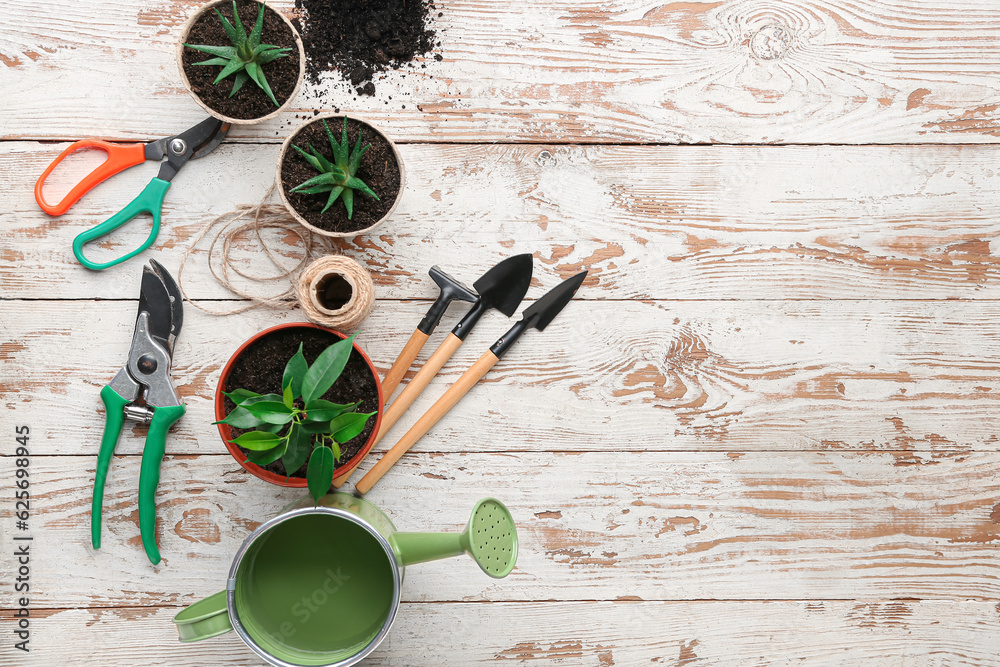 Gardening tools and plants on white wooden background