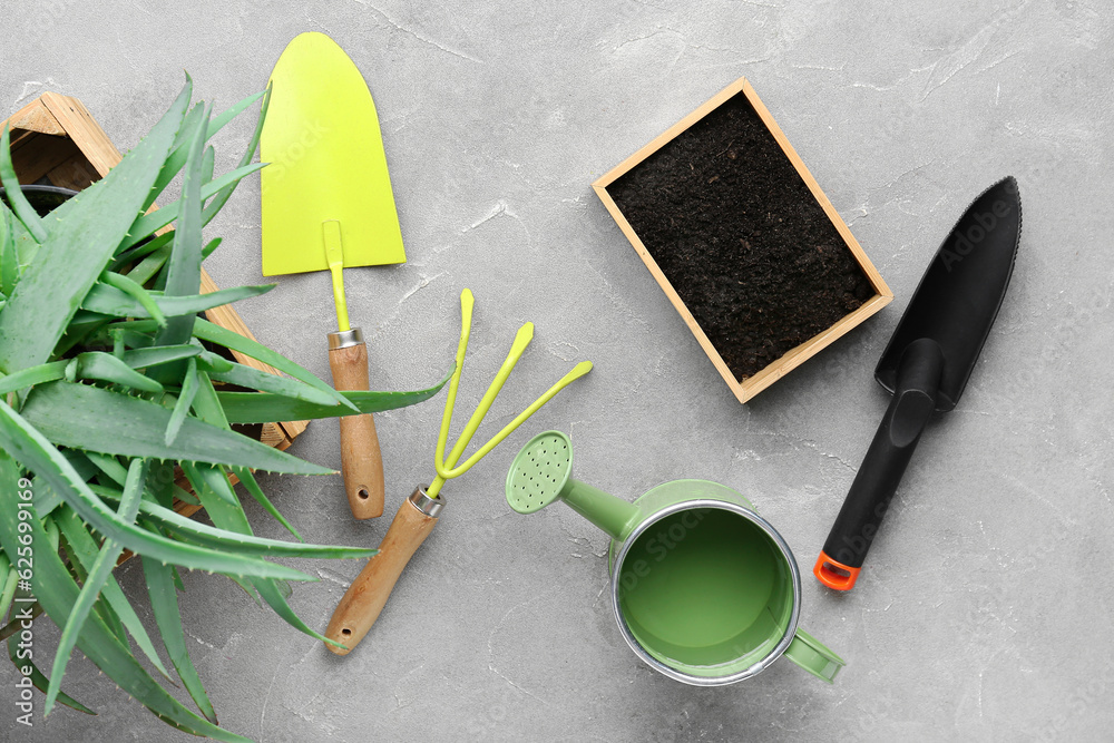 Gardening tools, soil and plant on grey background