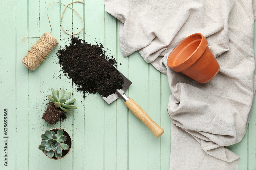 Shovel with soil and succulent plants on green wooden background