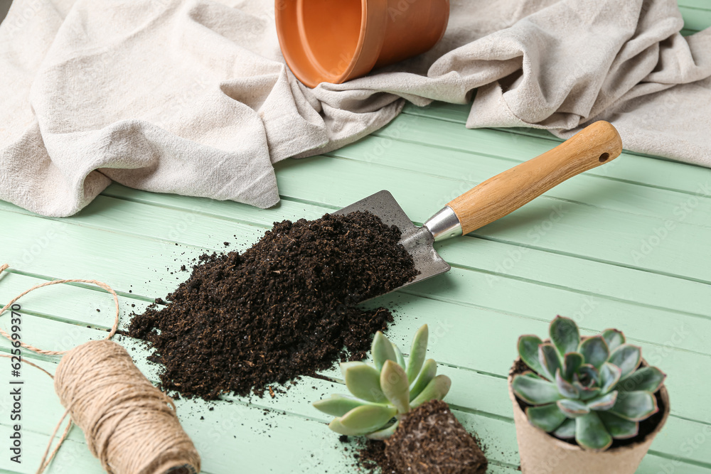 Shovel with soil and succulent plants on green wooden background, closeup