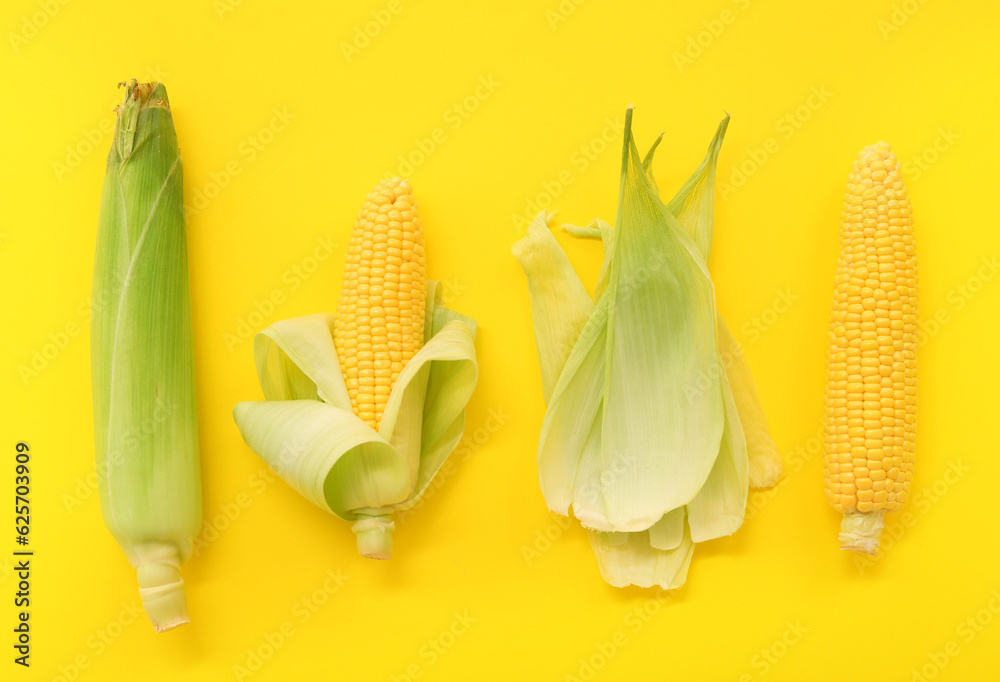 Fresh corn cobs on yellow background