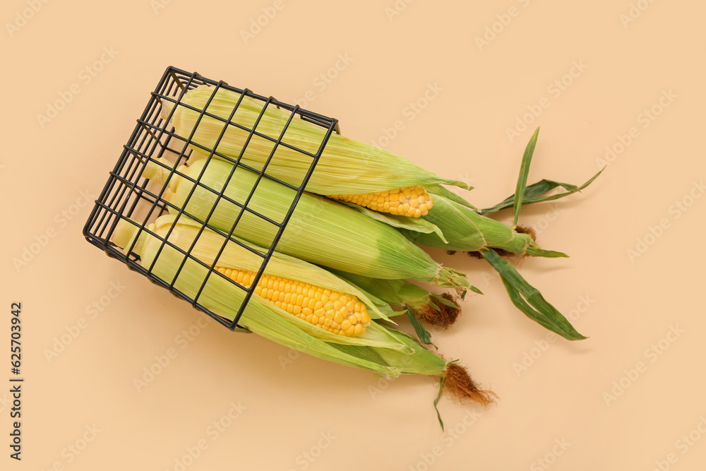 Basket with fresh corn cobs on beige background