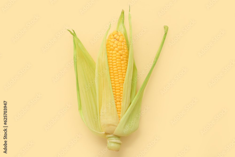 Fresh corn cob on yellow background