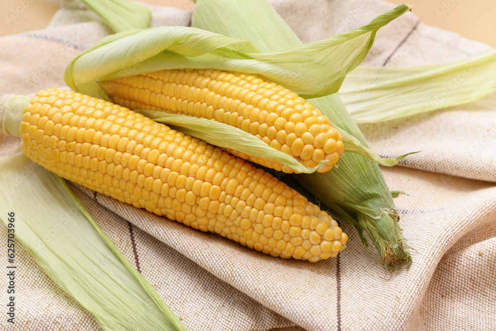 Fresh corn cobs on textile background, closeup