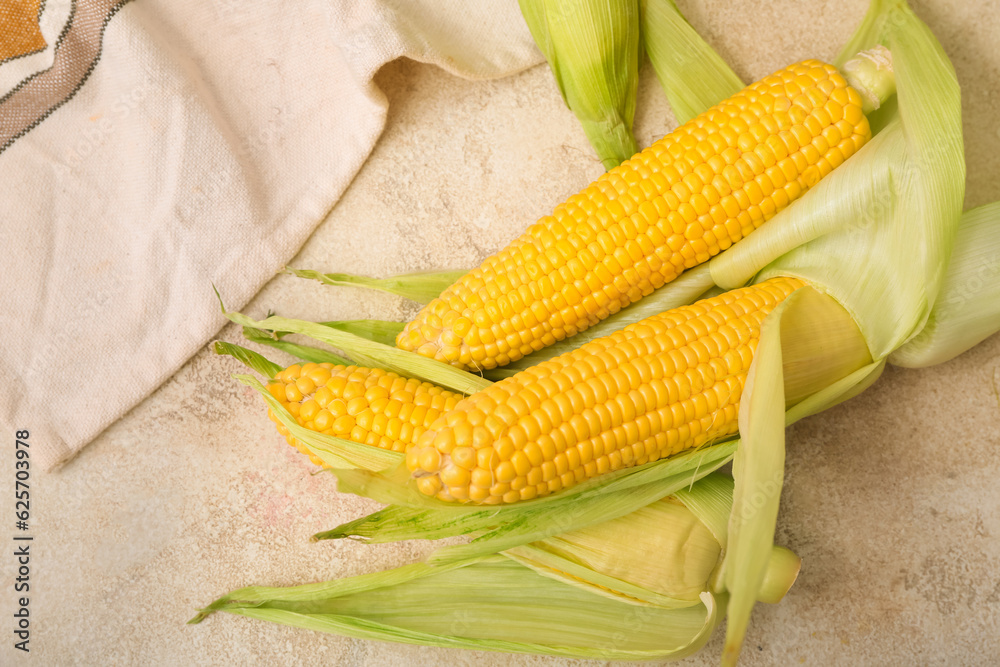 Fresh corn cobs on white table