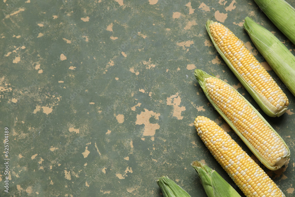 Fresh corn cobs on green background