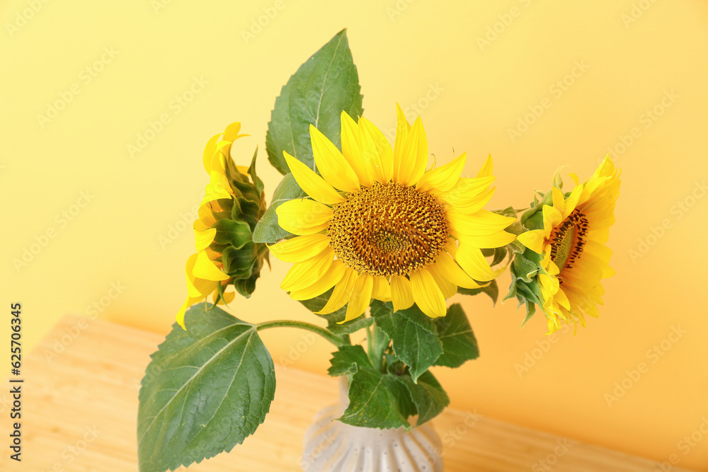 Vase with sunflowers near color wall, closeup