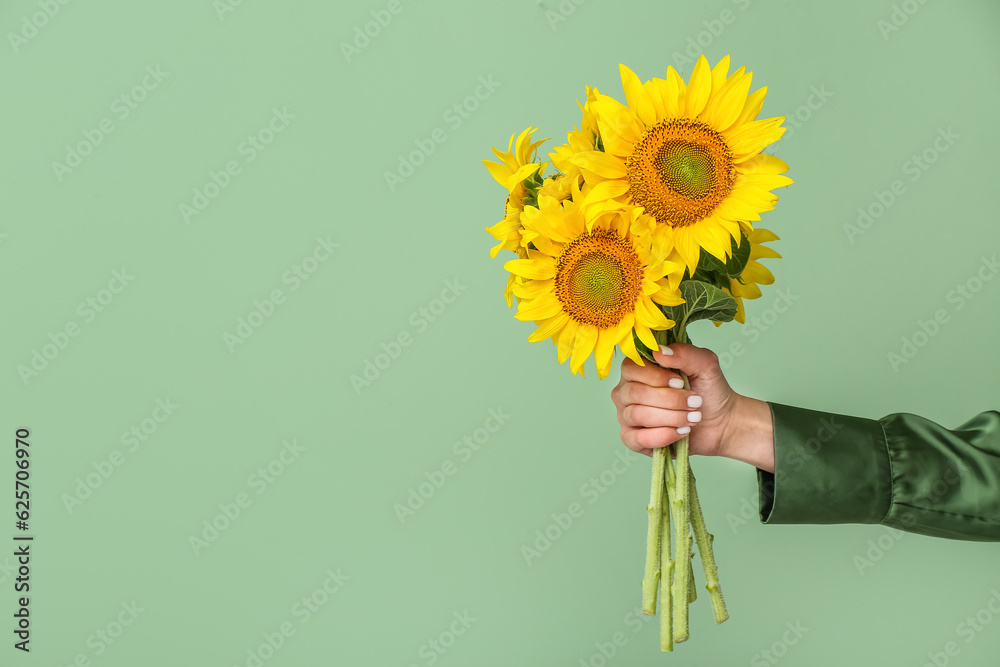 Young woman with beautiful sunflowers on green background