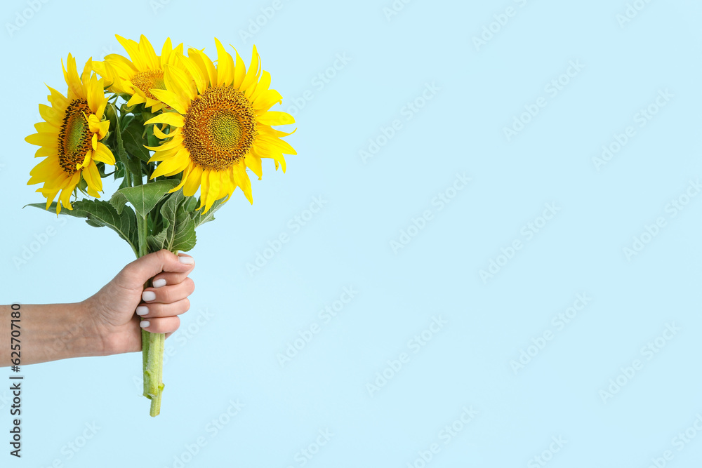 Young woman with beautiful sunflowers on blue background