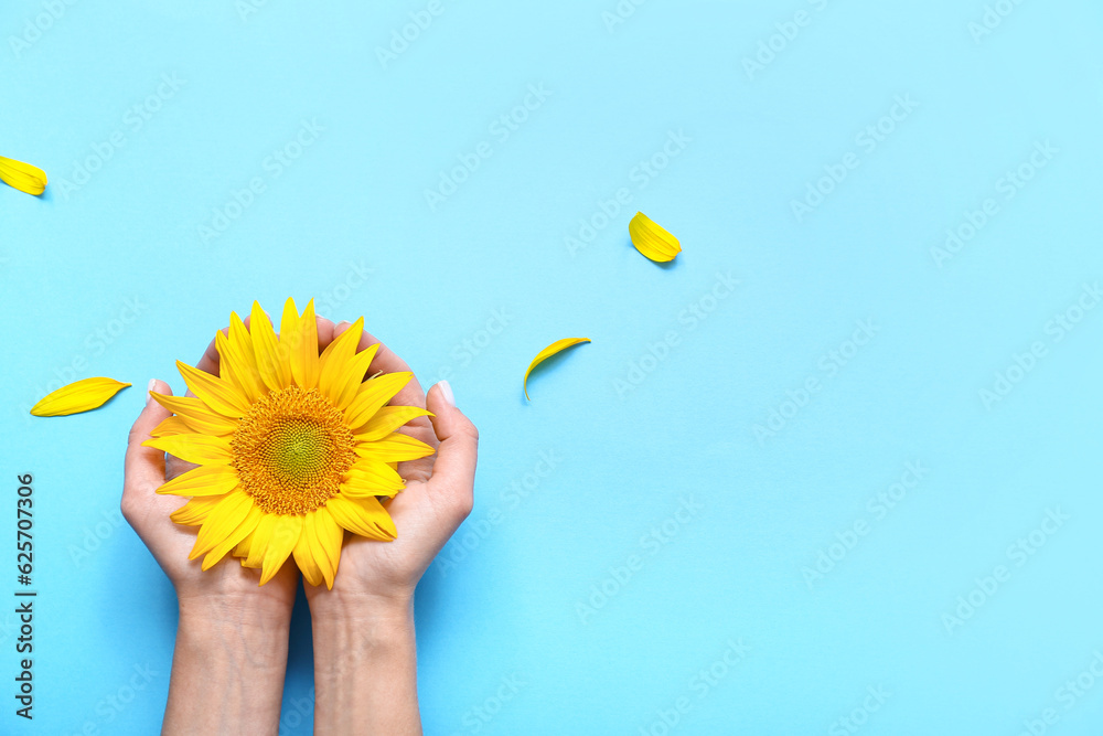 Woman with sunflower on blue background