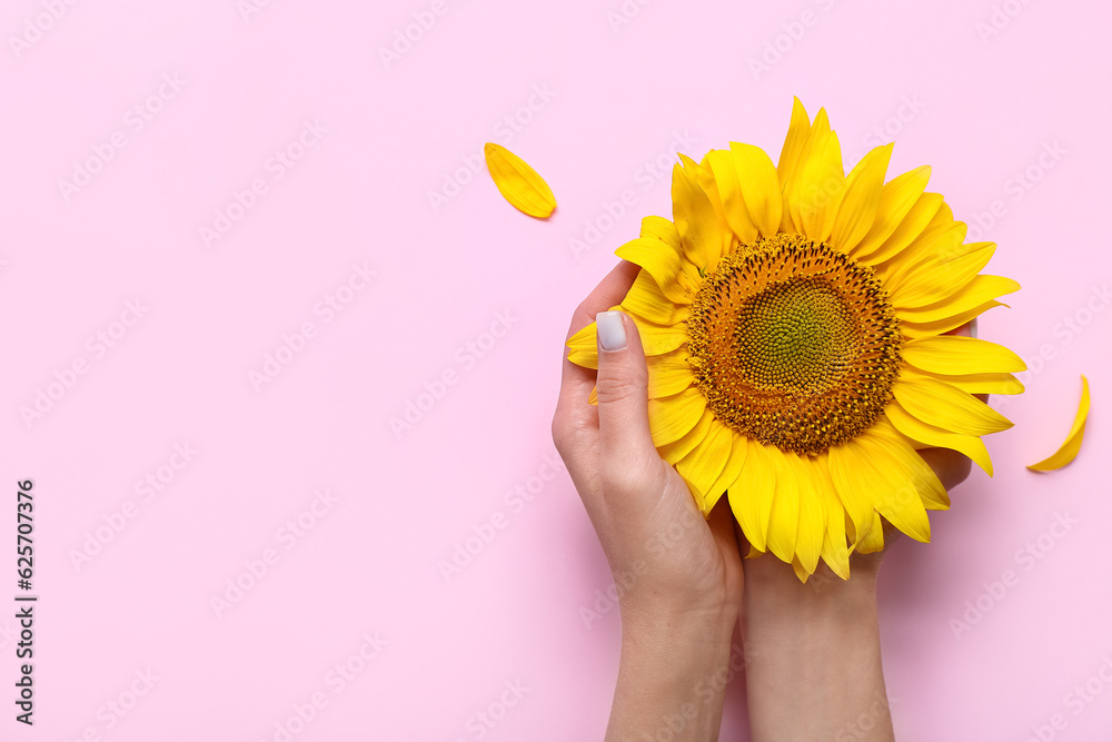 Woman with sunflower on pink background