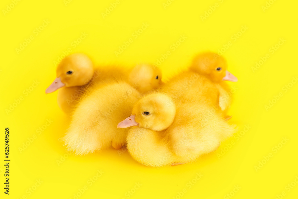 Cute ducklings on yellow background