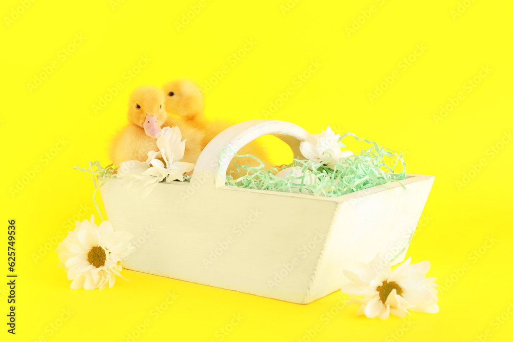 Cute ducklings in basket and chamomile flowers on yellow background