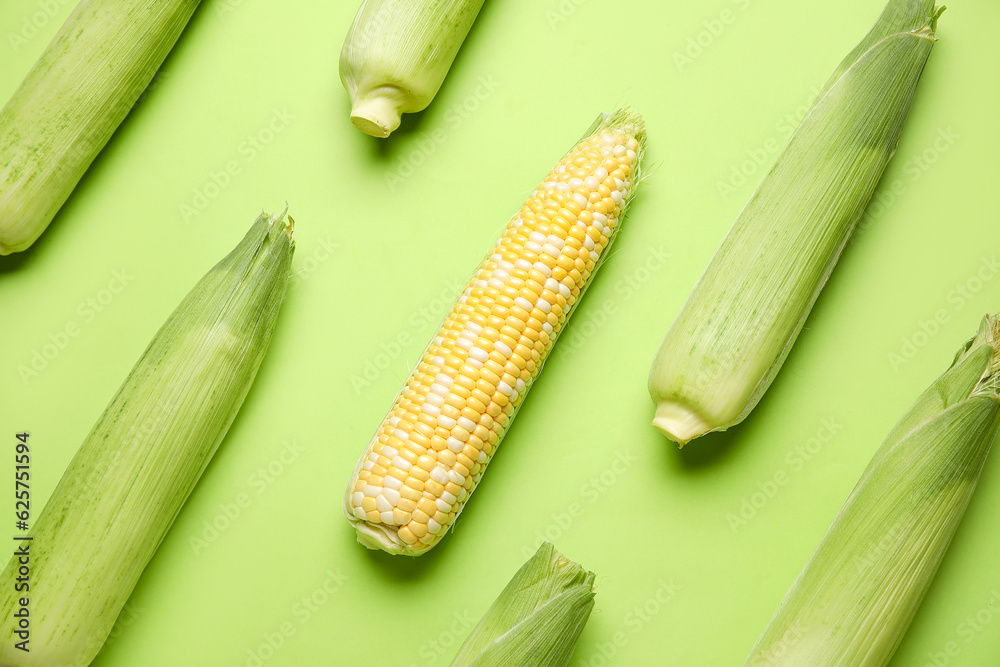 Fresh corn cobs on green background