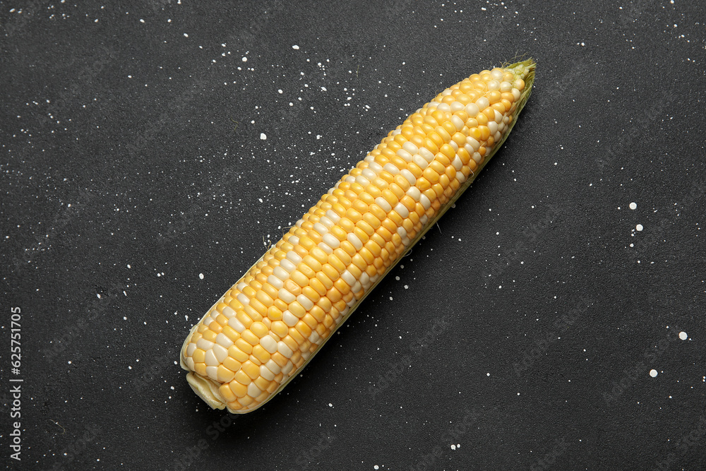 Fresh corn cob on black background