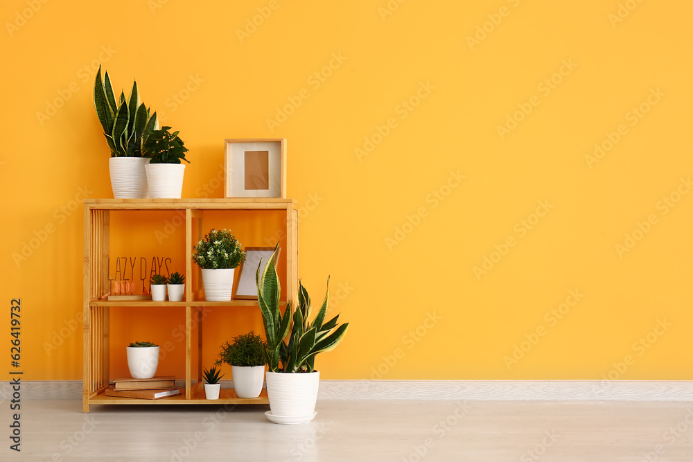 Shelving unit with houseplants, frames and books near yellow wall in room