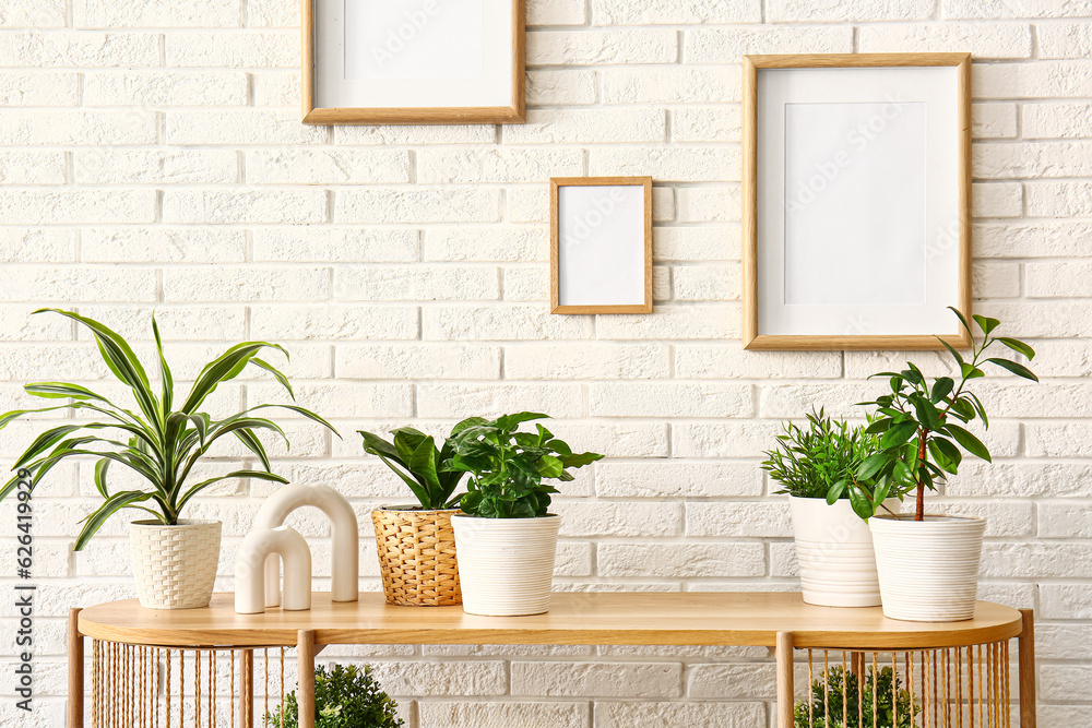 Green houseplants on table near white brick wall