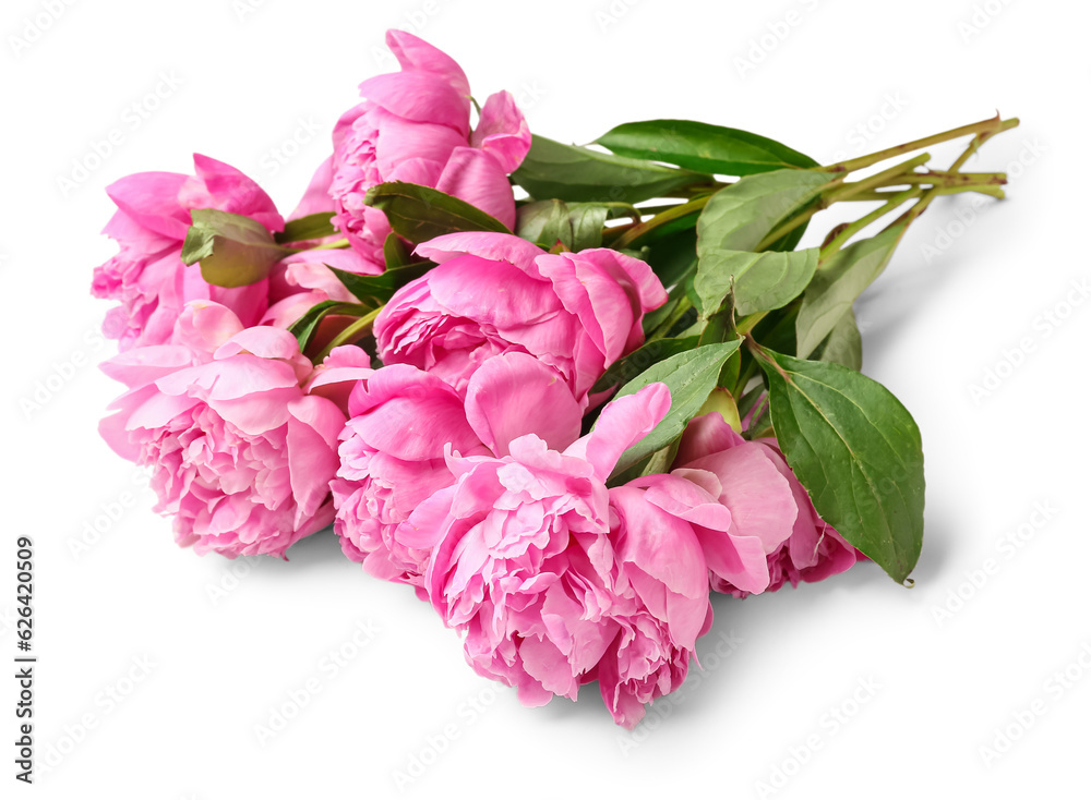 Bouquet of pink peony flowers on white background