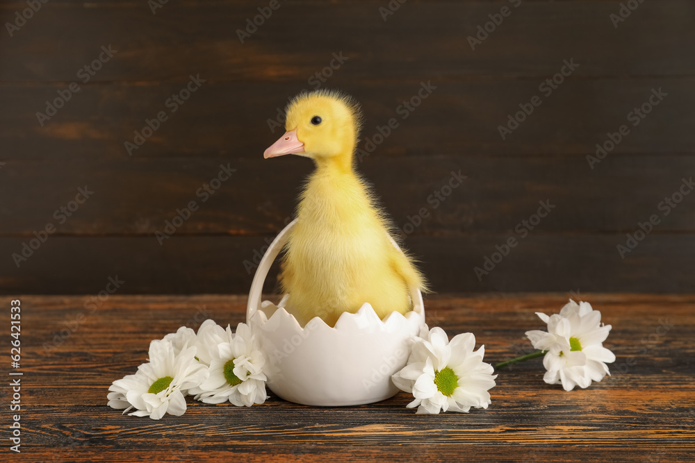 Basket with cute duckling and chamomile flowers on wooden background