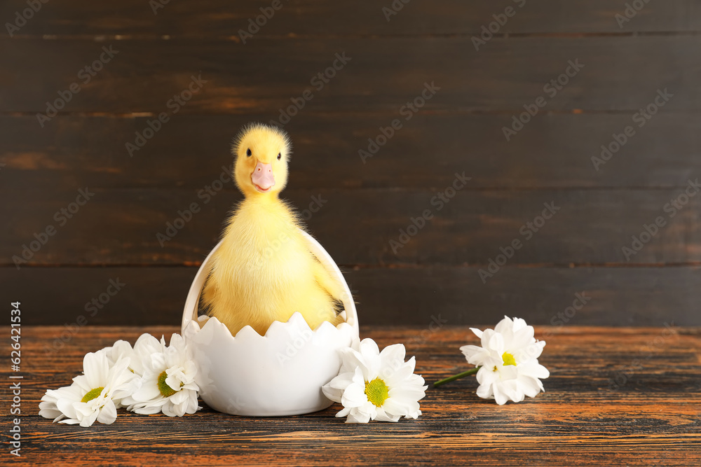 Basket with cute duckling and chamomile flowers on wooden background