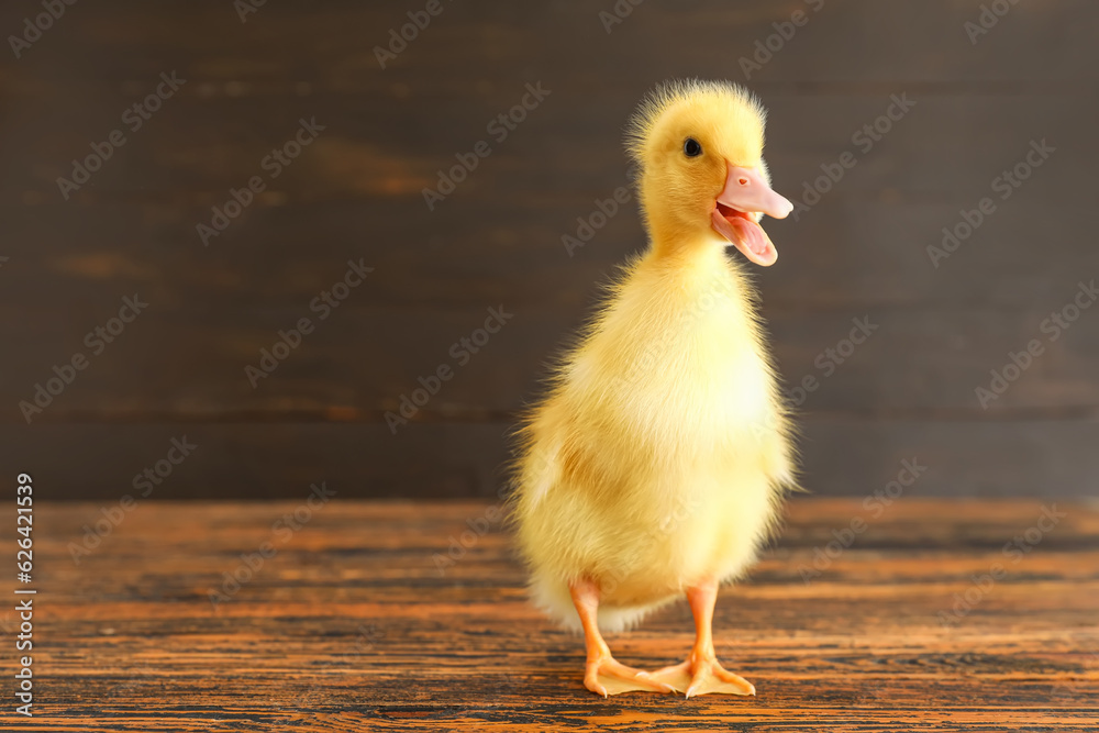 Cute duckling on wooden background